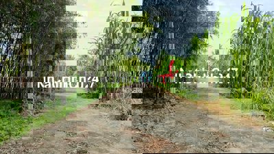 lô đất 1 sẹc ngắn đường Đỗ Đăng Tuyển, diện tích 118m, full thổ cư