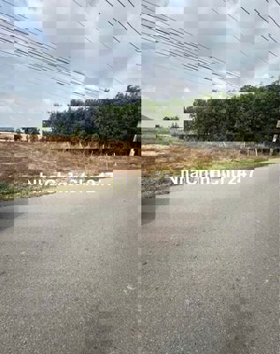 mặt tiền đường nhựa -gần chợ -250m2 599Tr 100m2 thổ cư - Đất Dầu Tiếng