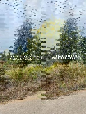 Bán đất 12x46 có 100m2 thổ cư mặt tiền đường nhựa sát quốc lộ 55