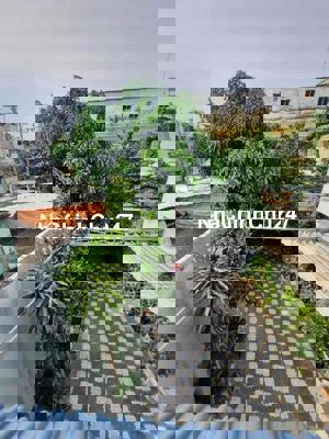 BIỆT THỰ CHÍNH CHỦ CHƯA HỀ SANG TÊN - HỢP Ở MỞ VĂN PHÒNG CÔNG TY - LÀM