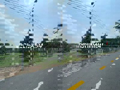 Đất vườn sầu riêng mặt tiền đường nhựa giá 890tr /4550m2 thổ cư 400m