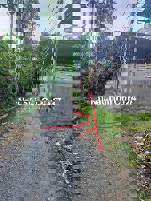 BÁN ĐẤT THỔ CƯ NHỊ BÌNH 2,3ty