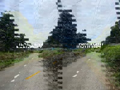 Bán đất thổ cư có cây sầu riêng  tại xã Đạ Oai, Đạ Huoai, Lâm Đồng