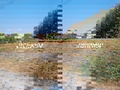 1550m2 CLN phù hợp thổ cư, gần KCN. Dân đông. 1,8 tỷ