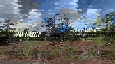 115m2 Bình Trung, Châu Đức BRVT (thổ cư 80m2) giá 495tr sẵn sổ hồng