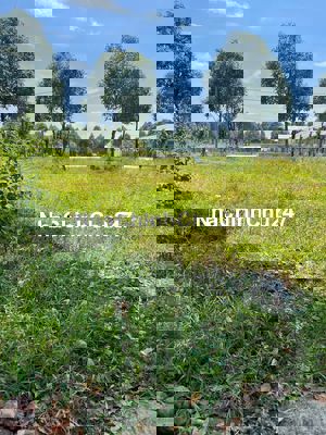 Chính chủ cần bán gấp lô đất sau TTHC Bàu Bàng, sổ sẵn công chứng liền