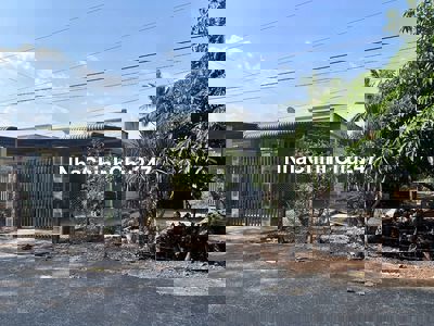 CƠ HỘI ĐẦU TƯ VÀ AN CƯ LÝ TƯỞNG – BÁN ĐẤT 1562,5M² HIỆN CÓ NHÀ CẤP 4.