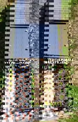 CHÍNH CHỦ BÁN NHÀ 316M2 10X31M 200 THỔ CƯ MT DG NHƯA DH05