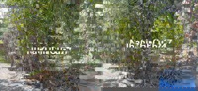 Đất biệt thự đường xe tải 5 tấn  ngay khu dân cư đông đúc, thổ