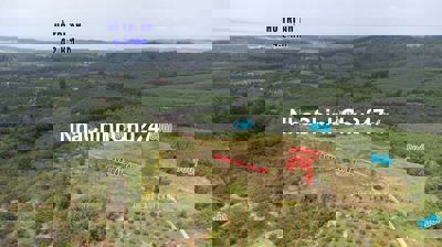 bán gấp 2000m2 có sẵn 100m thổ cư, Thanh Sơn, Định Quán, Đồng Nai.