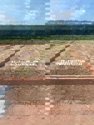 Loại đất thổ cư 1 phần chiều ngan 5M chiều dài 50,41