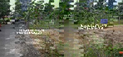 Chính chủ cần bán đất