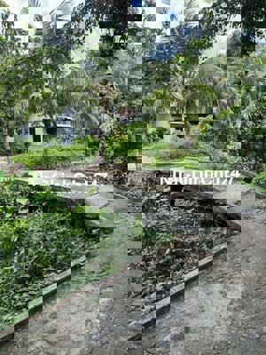 Nhà đất trung tâm tpct