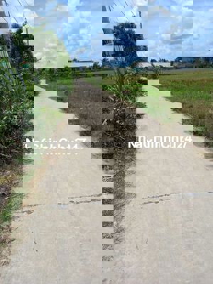 Đất MT cây điệp 20x100 có 180m thổ cư  , nhựt chánh, Bến lức.LA