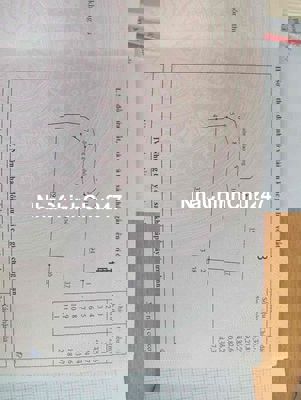 cần bán đất trồng cây lâu năm chính chủ bán ạ