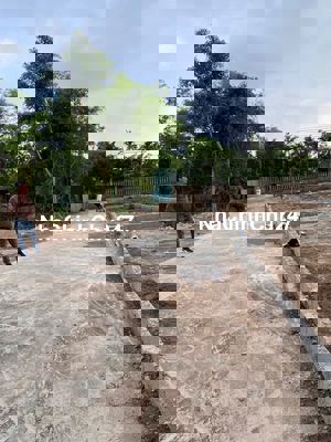 📣 CHÍNH CHỦ BÁN ĐẤT PHÂN LÔ F0 - HỒNG VÂN, THƯỜNG TÍN 📣