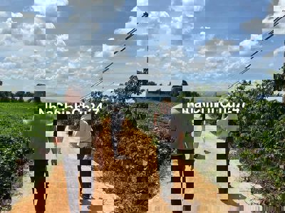 CHÍNH CHỦ 490TR CHO LÔ 8M X 30M CÓ 80M THỔ CƯ TÂN VĂN  -LÂM HÀ