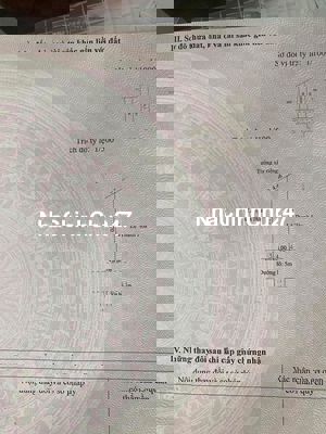 bán đất chính chủ