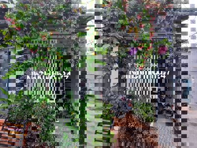 Nhà Trường Thọ 36m2, 3 phòng ngủ, Đường số 8, phường Trường Thọ