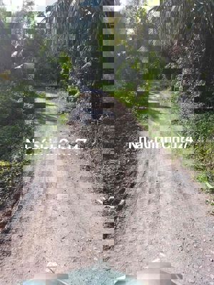 130m2 thổ cư 299 triệu Đất xã Bình Đức