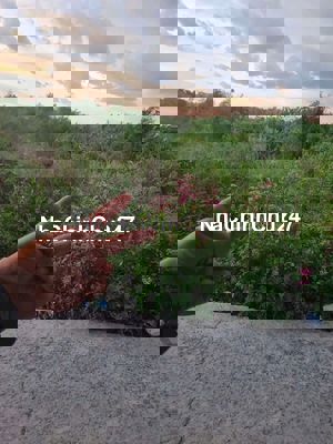 ĐẤT THỔ CƯ CHÂU THÀNH LONG AN