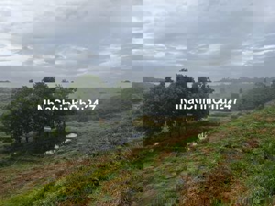 Chính Chủ Bán Đất Vườn 1810m2. Lộc Ngãi, Bảo Lâm, Lâm Đồng