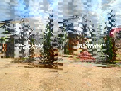 Bán đất thị trấn Lạc Dương 200m2 full thổ giá 3,5 tỷ thương lượng