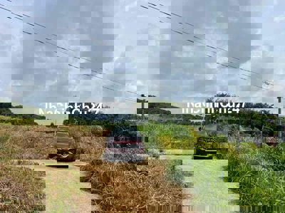 Ngộp bán gấp 251m2 đất, thổ cư 100, ngang 5m, Phú Riềng, Bình Phước.