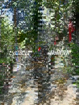 CHÍNH CHỦ BÁN ĐẤT NGAY CHỢ NỮ DÂN CÔNG VLA