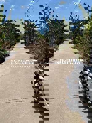 ĐẤT NỀN FULL THỔ SÁT VÀNH ĐAI 3