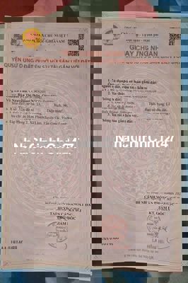 Đất thổ giá rẻ 550tr tại cần giuộc