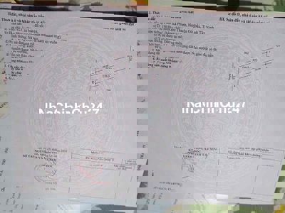 5x30 thổ cư hết đất sổ hồng riêng .Phước Thạnh - Gò Dầu Tây Ninh