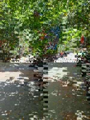 nha mat tien xe hoi chu dinh cu nuoc ngoai