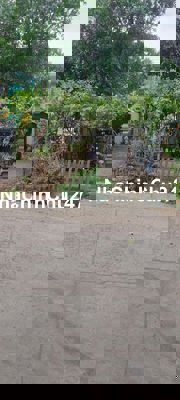 ĐẤT CHÍN CHỦ CẦN BÁN