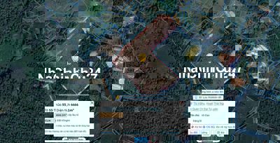 BÁN GẤP 300k/1m² Đất cây lâu năm tại Đại Từ - Thái Nguyên