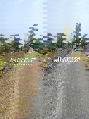 bán nền 12x25 thổ cư đường nhụa xã tân thạnh thanh bình đồng tháp