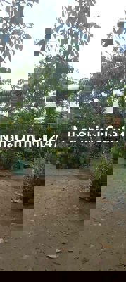 Bán đất thổ cư