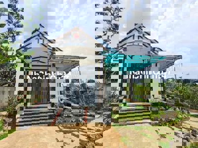 CHÍNH CHỦ CẦN BÁN GẤP BIỆT THỰ MINI VƯỜN 1856m² – ẤP CHỢ, XÃ PHÚ TÚC