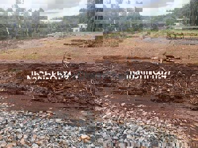 BÁN 175m2 ĐẤT THỔ CƯ, HỚN QUẢN BÌNH PHƯỚC.,GIÁ 390 TRIỆU