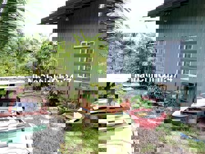 Chính chủ bán đất lập vườn mặt tiền kênh lớn Giồng Cà Tp. Tây Ninh