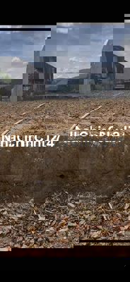 bán Thổ cư Ngay TT xã Hiệp An