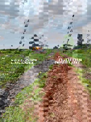 BÁN ĐẤT VƯỜN CHÍNH CHỦ CHƯA QUA KINH DOANH