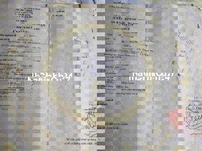 chính chủ bán 1,1 ha đất mặt đường lớn Chợ Lầu