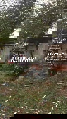 cần tiền bán đất xuân thới thượng hóc môn chính chủ.