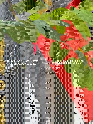 chinh chủ cần bán