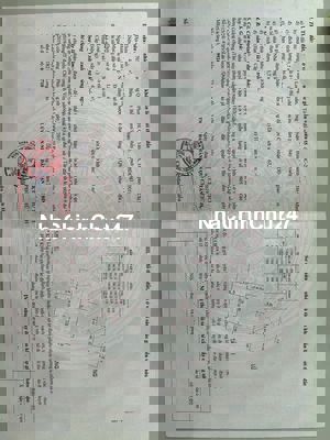 ✅ CHÍNH CHỦ BÁN NHÀ HẺM 703 LẠC LONG QUÂN (5.3MX9M)_ LỬNG (GIÁ 4.2 TỶ]