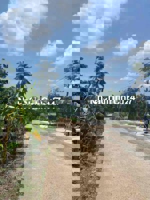 ĐẤT GẦN TRUNG TÂM HÀNH CHÍNH , CHỦ PHÁ GIÁ BÁN GẤP