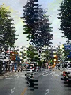 mặt tiền đường 4 trương định chính chủ