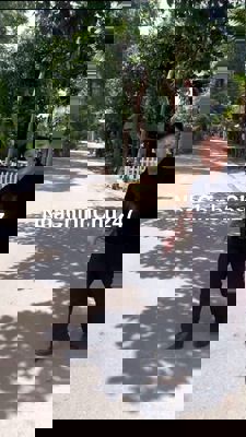 Bán đất tại ĐT 750, 590 triệu, 224.6m2, giá ưu đãi chính chủ