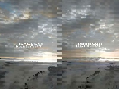 GẤP!! CHỦ KẸT TIỀN XÃ HÀNG GIÁ RẺ CHỈ 350TR